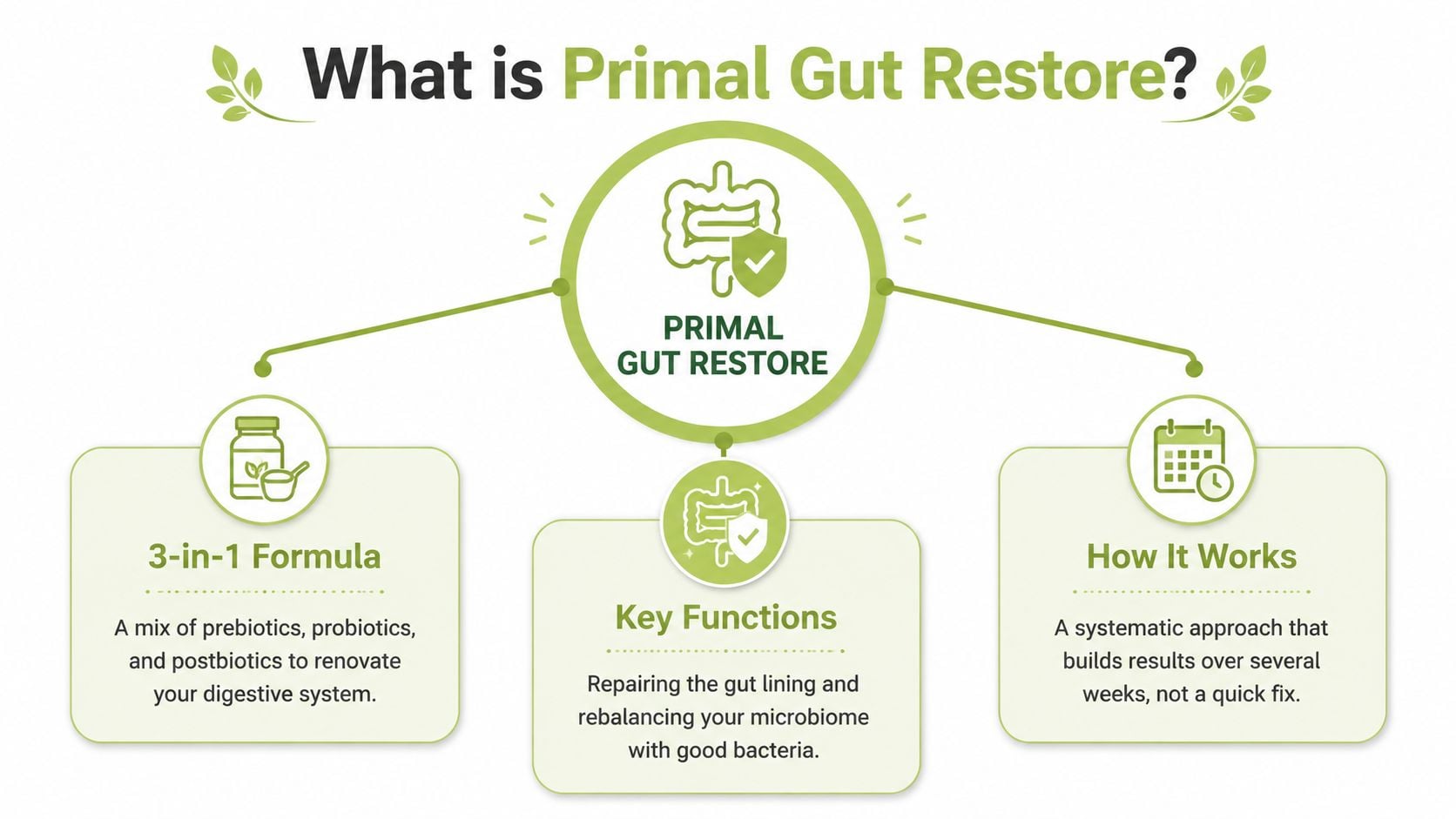An infographic explaining Primal Gut Restore, featuring its three-in-one formula, key functions, and systematic working approach.